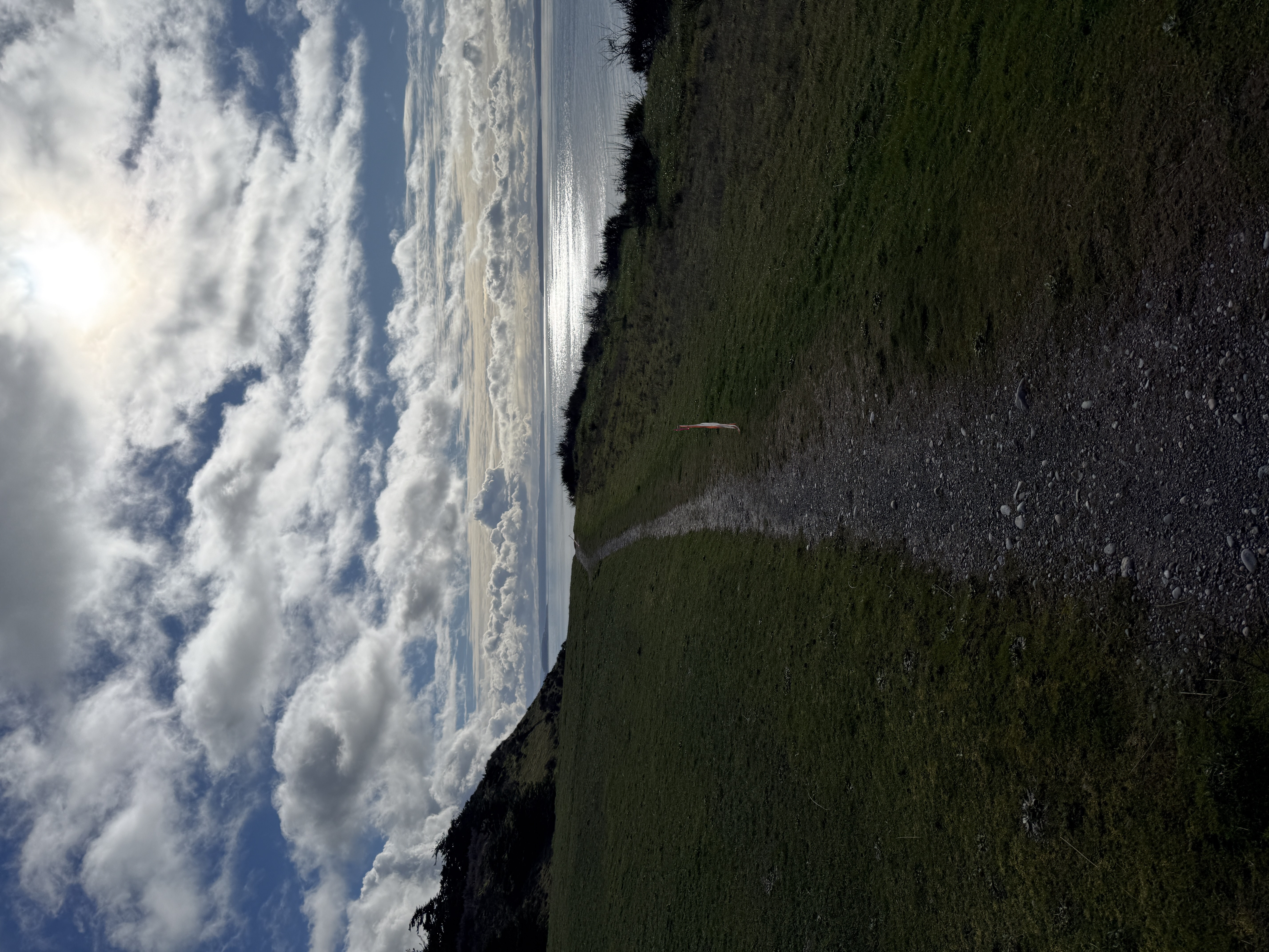 A picture from the bluff